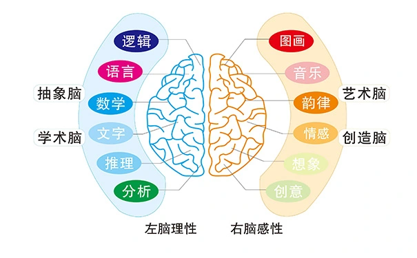 潜能开发教育，到底能给孩子带来什么？