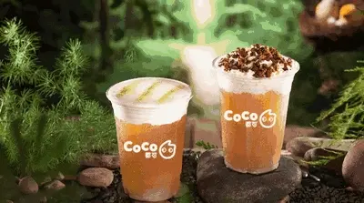 coco奶茶店加盟费多少，奶茶店利润分析