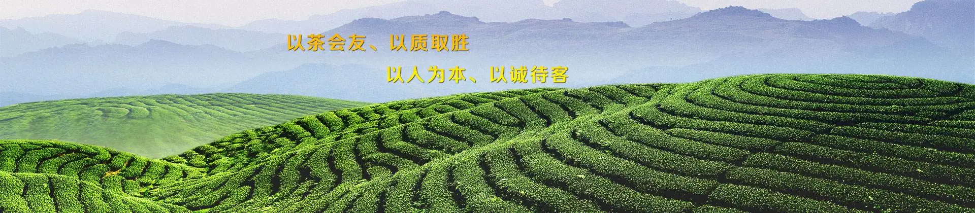 芬吉茶业加盟