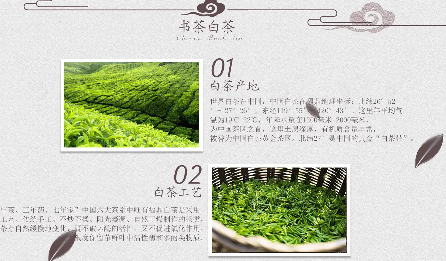 中国书茶加盟条件